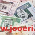 بالتفصيل أسباب توقف معاش التأمينات الاجتماعية بالمملكة العربية السعودية 1445؟