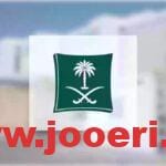 تفاصيل كاملة حول خطوات الاستعلام عن سجل تجاري في المملكة 2024