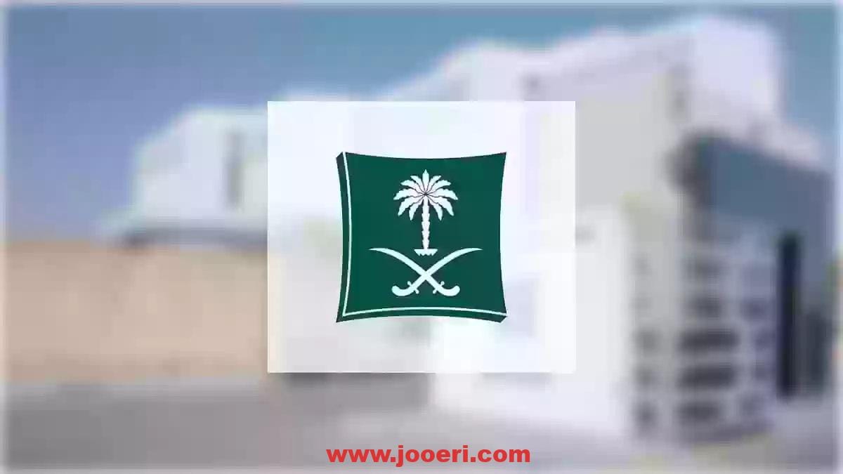 تفاصيل كاملة حول خطوات الاستعلام عن سجل تجاري في المملكة 2024