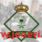هل يمكن استخدام سجل الأسرة وثيقة سفر؟
