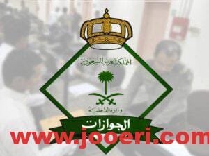 هل يمكن استخدام سجل الأسرة وثيقة سفر؟