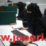 ما شروط قرض العمل الحر للنساء بدون كفيل 1445 وفق إعلان بنك التنمية الاجتماعية sdb.gov.sa؟