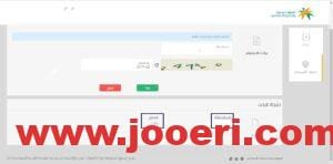 ما هي شروط احتساب الموظف في نطاقات وأهم اهداف البرنامج