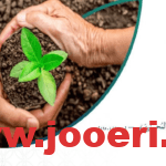 التسجيل في منصة إحسان للمحتاجين