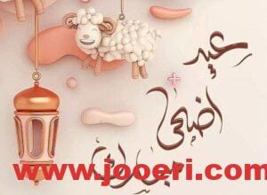 عبارات تهنئة