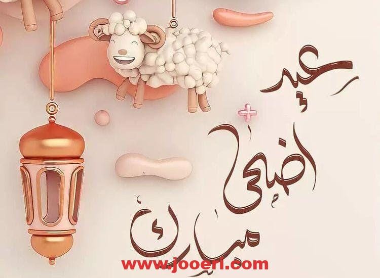 عبارات تهنئة