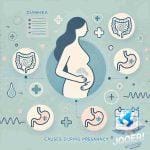 أسباب الإسهال أثناء الحمل وهل دلالة على الحمل ببنت؟