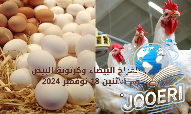 “آخر تحديث لبورصة الدواجن”.. سعر الفراخ البيضاء وكرتونة البيض اليوم الأثنين 18 نوفمبر 2025 في الأسواق والمحلات