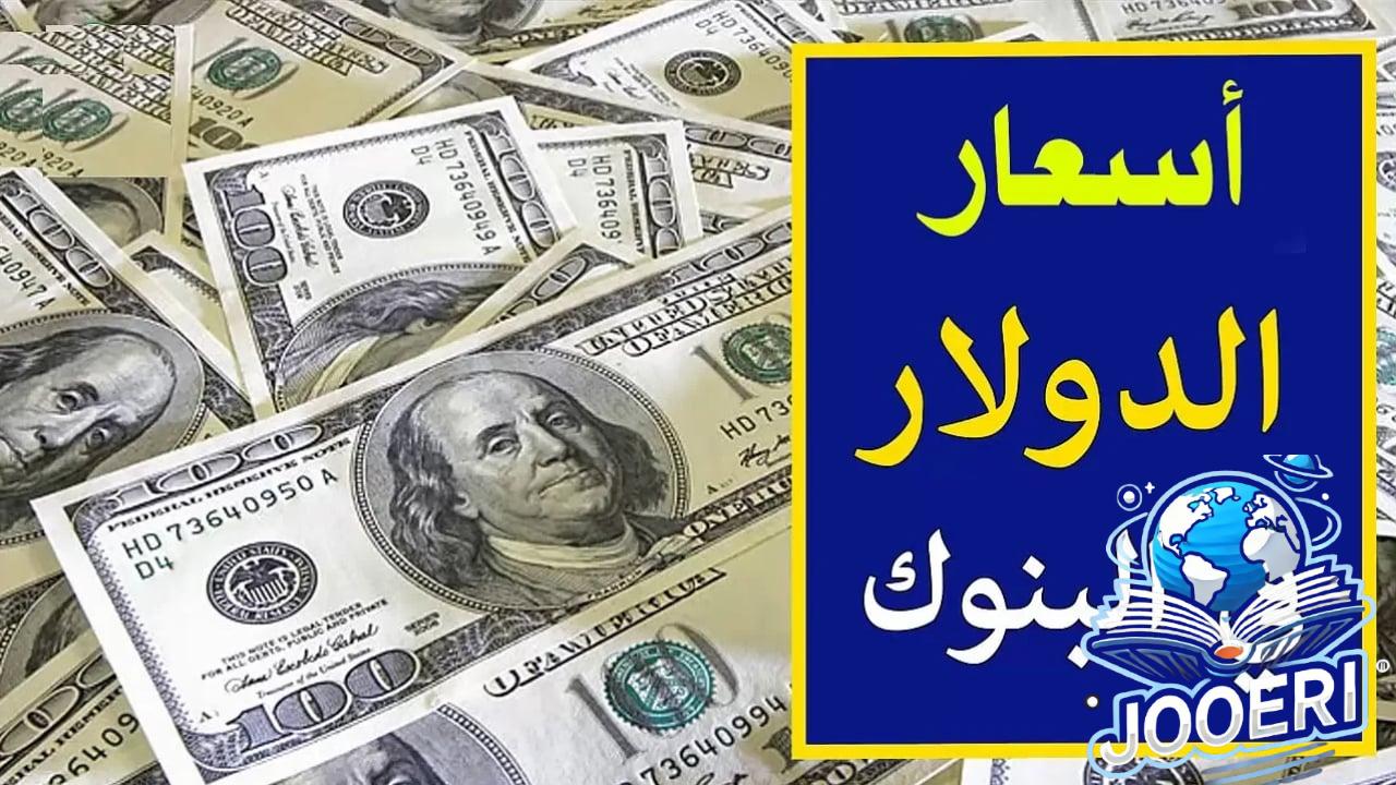 أخر تحديث.. سعر الدولار مقابل الجنيه المصري مع أخر نسب زيادة
