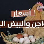 أسعار الدواجن والبيض اليوم الجمعة 22 نوفمبر 2024.. البلدي بـ 125 جنيها