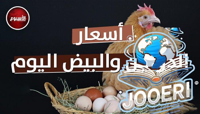 أسعار الدواجن والبيض اليوم الجمعة 22 نوفمبر 2025.. البلدي بـ 125 جنيها