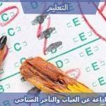 اذاعة عن الغياب والتأخر الصباحي