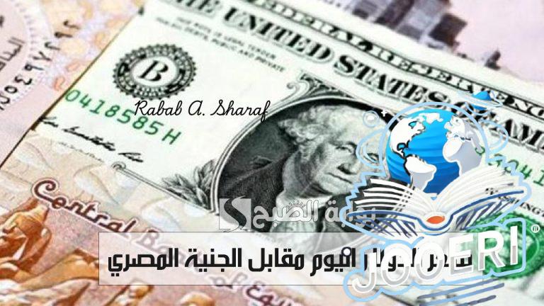 “استقرارًا نسبيًا”.. سعر الدولار اليوم مقابل الجنية المصري 18 نوفمبر 2025 وأسعار العملات