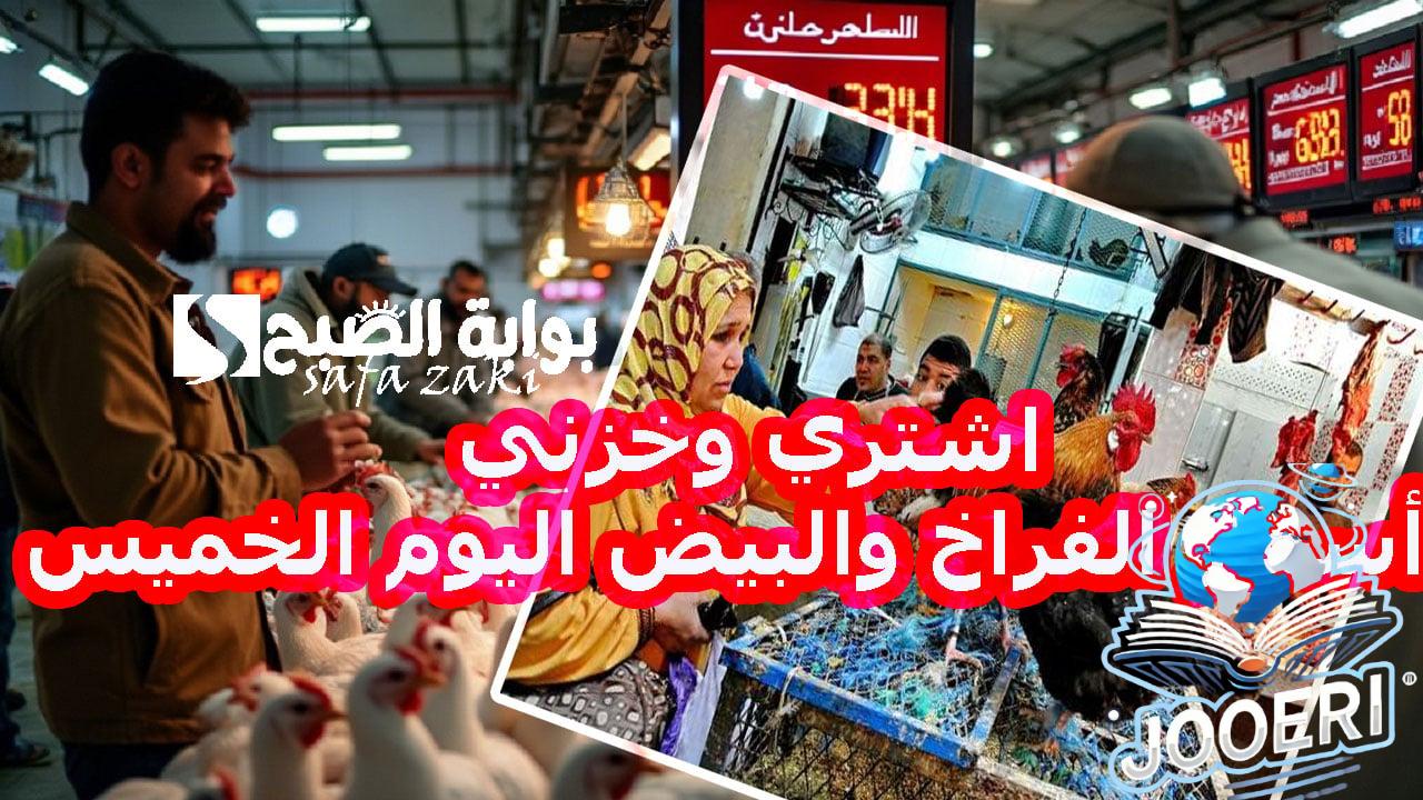 اشتري وخزني .. أسعار الفراخ والبيض اليوم الخميس في بورصة الدواجن  والبيع للمستهلك فى الاسواق