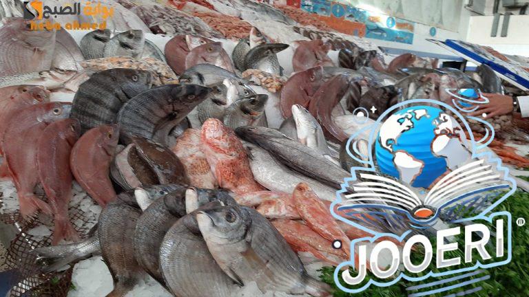 البلطي من 66 جنيه… أسعار السمك والجمبري اليوم الإثنين 18 نوفمبر في السوق