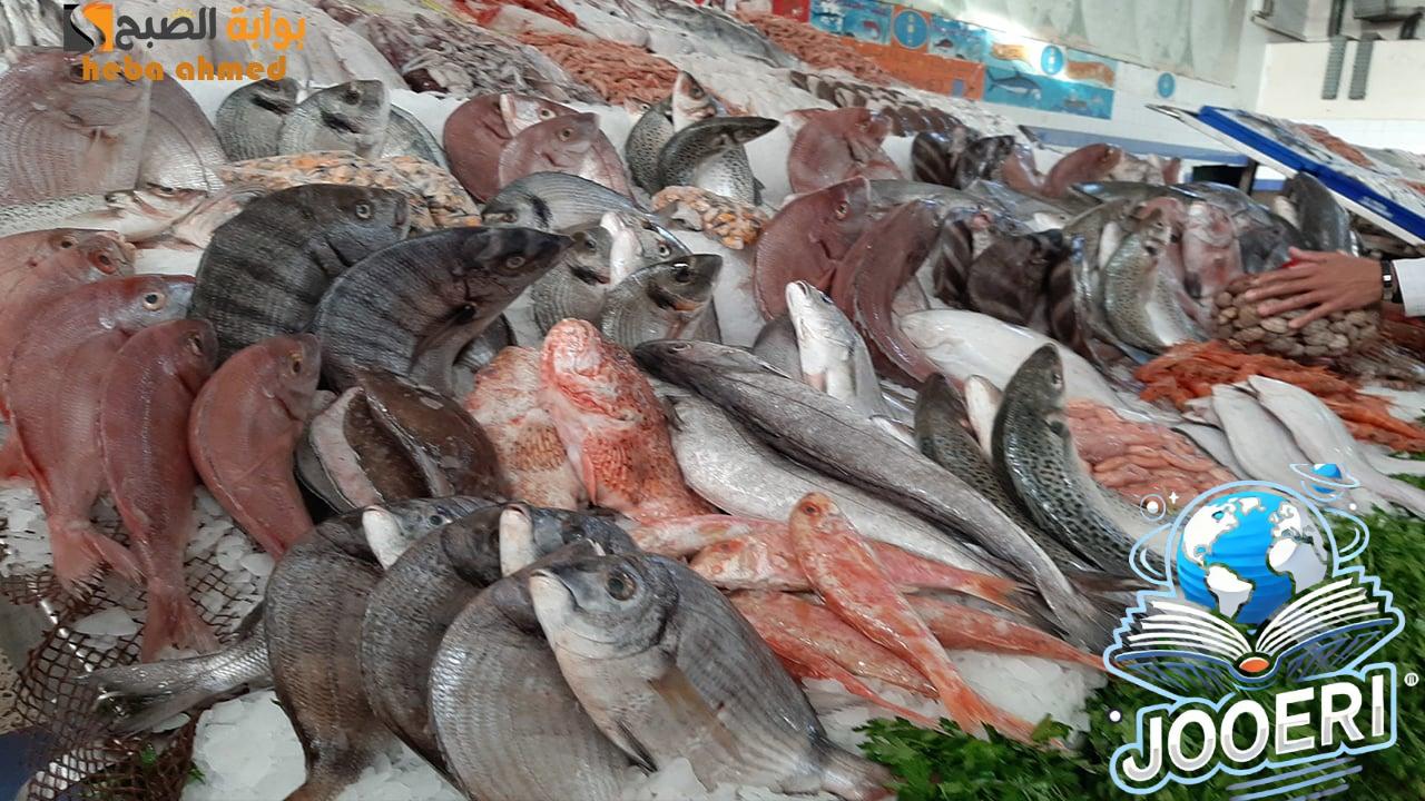 البلطي من 66 جنيه… أسعار السمك والجمبري اليوم الإثنين 18 نوفمبر في السوق