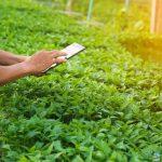 التكنولوجيا والابتكار على أجندة أيام المحاور الخاصّة في كوب 16 الرياض