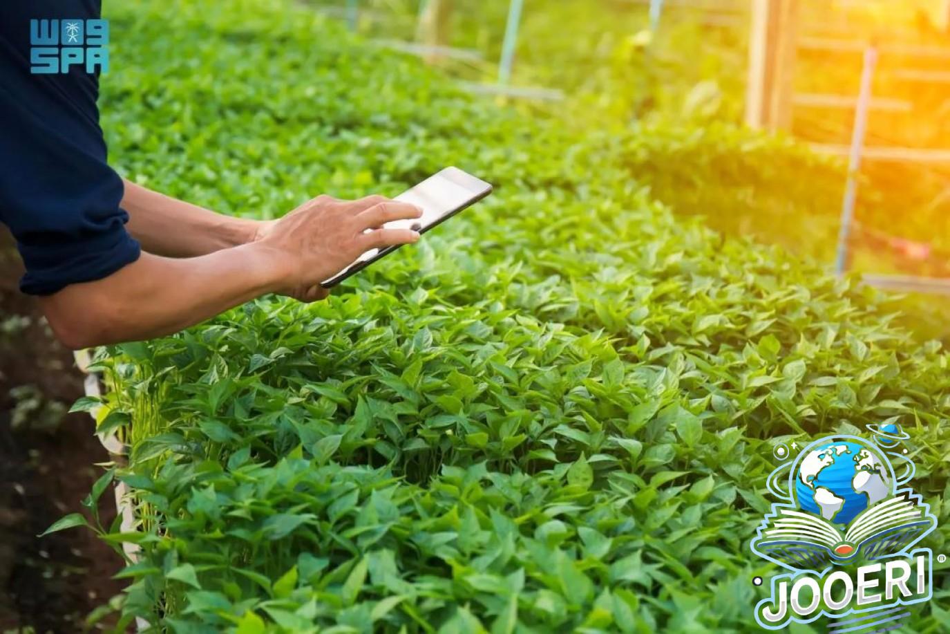 التكنولوجيا والابتكار على أجندة أيام المحاور الخاصّة في كوب 16 الرياض