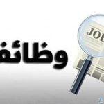 «الحق قدّم».. الشباب والرياضة توفر فرص عمل جديدة للشباب