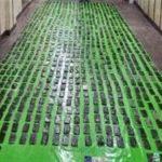 الداخلية تضبط صفقة مخدرات بـ8 ملايين جنيه بالإسكندرية