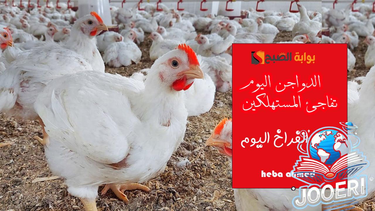 الدواجن تفاجئ المستهلكين… سعر الفراخ اليوم الإثنين 18 نوفمبر للمستهلك والبورصة