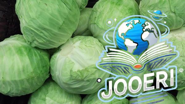 السعرات الحرارية في الكرنب ( الملفوف )