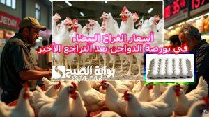 الفرخة وصلت كام ؟.. أسعار الفراخ البيضاء في بورصة الدواجن بعد التراجع الأخير اليوم الثلاثاء 19 نوفمبر 2024 واستقرار  أسعار كرتونة البيض