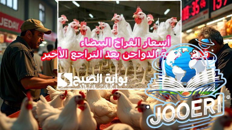 الفرخة وصلت كام ؟.. أسعار الفراخ البيضاء في بورصة الدواجن بعد التراجع الأخير اليوم الثلاثاء 19 نوفمبر 2025 واستقرار أسعار كرتونة البيض