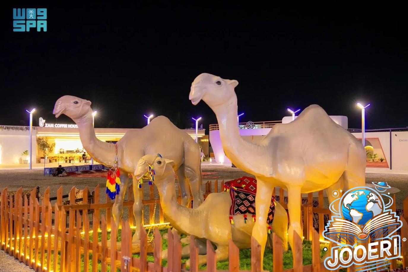 الهيئة الملكية بينبع تدشن مهرجان ينبع هوانا 2024.. تعرفوا على فعالياتها