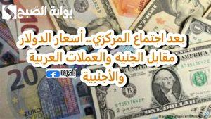 بعد اجتماع المركزي.. أسعار الدولار مقابل الجنيه والعملات العربية والأجنبية