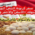 بعد تراجعها بالأسواق بكام البيضة انهاردة؟ .. سعر كرتونة البيض اليوم للمستهلك «الأبيض والأحمر والبلدي» اليوم الأربعاء 20 نوفمبر 2024