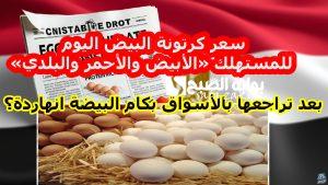 بعد تراجعها بالأسواق بكام البيضة انهاردة؟ .. سعر كرتونة البيض اليوم للمستهلك «الأبيض والأحمر والبلدي» اليوم الأربعاء 20 نوفمبر 2024