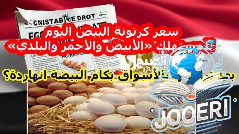 بعد تراجعها بالأسواق بكام البيضة انهاردة؟ .. سعر كرتونة البيض اليوم للمستهلك «الأبيض والأحمر والبلدي» اليوم الأربعاء 20 نوفمبر 2025
