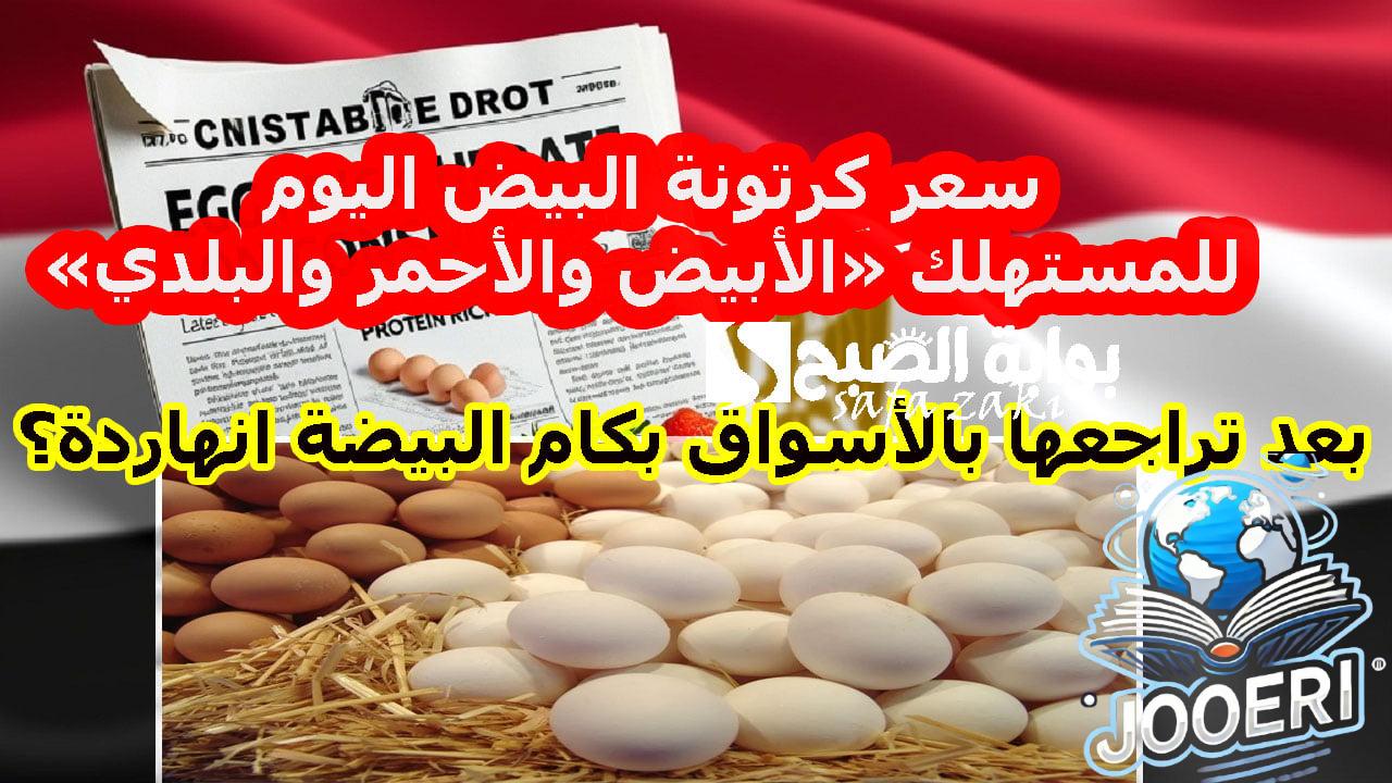 بعد تراجعها بالأسواق بكام البيضة انهاردة؟ .. سعر كرتونة البيض اليوم للمستهلك «الأبيض والأحمر والبلدي» اليوم الأربعاء 20 نوفمبر 2024