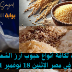“بكام وصل سعر الكيلو النهاردة” .. آخر تحديث لكافة أنواع حبوب أرز الشعير والأبيض اليوم في مصر الإثنين 18 نوفمبر 2024