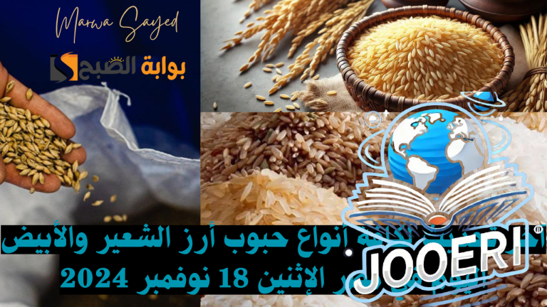 “بكام وصل سعر الكيلو النهاردة” .. آخر تحديث لكافة أنواع حبوب أرز الشعير والأبيض اليوم في مصر الإثنين 18 نوفمبر 2025