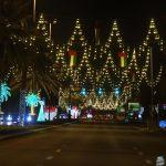 بلدية العين تزين الشوارع والميادين استعدادا لعيد الاتحاد الـ53