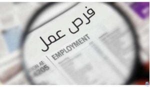 بمرتبات تبدأ من 4000 جنيه.. وظائف بشركة شعاع لقراءة عدادات الكهرباء (اعرف الأوراق المطلوبة)