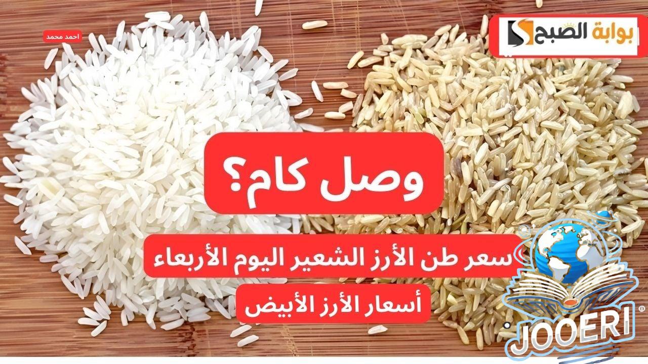 تراجع مفاجئ.. انخفاض سعر طن الأرز الشعير اليوم الأربعاء 20 نوفمبر 2024 في التعاملات