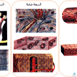 تركيب جسم الإنسان بالتفصيل