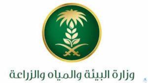 تعرف على أسباب وقف دعم المواشي خطوات التسجيل وأهم الشروط للاستفادة من الدعم