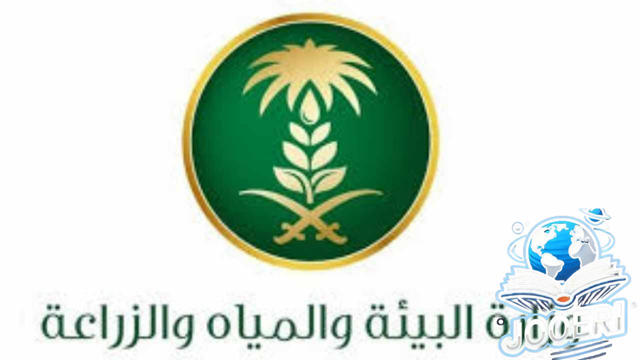 تعرف على أسباب وقف دعم المواشي خطوات التسجيل وأهم الشروط للاستفادة من الدعم