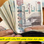 “رسميا”.. موعد صرف مرتبات شهر نوفمبر 2024 للموظفين بقطاعات الدولة وقيمة الحد الأدنى للأجور بعد آخر زيادة