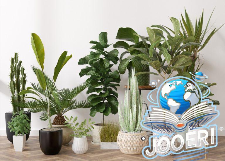 زرع صناعي لتجميل ديكور منزلك من دون تطلب العناية المستمرة