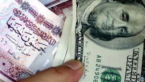 سعر الدولار اليوم في مصر تحديث يومي اليوم الثلاثاء 19-11-2024