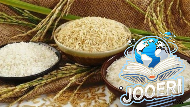 سعر طن الأرز الشعير في الأسواق اليوم رفيع وعريض الحبة