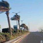 شبورة ورياح.. «الأرصاد» تكشف حالة الطقس خلال الفترة المقبلة