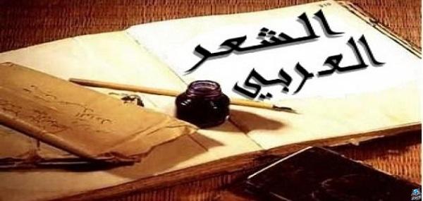 قصيدة خذ راحتك ما غير أنا وأنت والليل للشاعر عناد المطيري