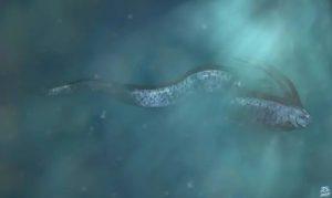 ظهور سمكة المجداف للمرة الثانية على أحد شواطئ كاليفورنيا.. ما دلالة ظهورها؟