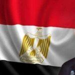 عاجل.. الرئيس السيسي يشيد بموقف إسبانيا العادل إزاء القضية الفلسطينية